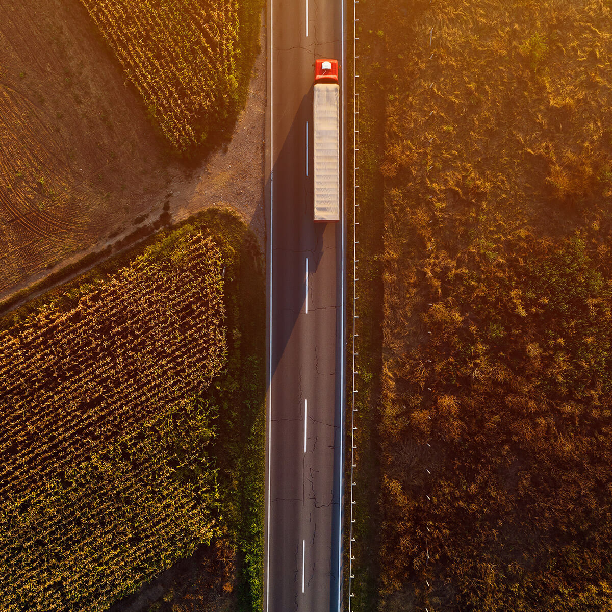 sgv-lkw-transport